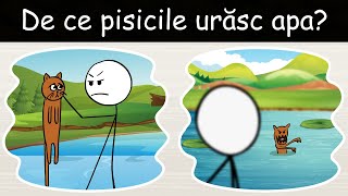 De Ce Pisicile Urăsc Apa  DLJ19 [upl. by Ainoek]