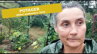 POTAGER début septembre  comment estil  Questce que je PLANTE  potagerbio [upl. by Intyre]