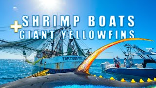 Into The Blue quotGiant Yellowfin Tuna on Shrimp Boatsquot 2012  Season 4 Episode 5 [upl. by Hebel]