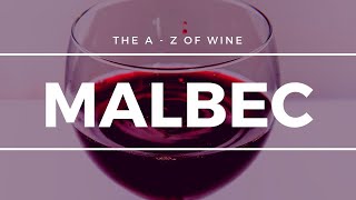 What is MALBEC  What you need to know about this popular grape [upl. by Olds]