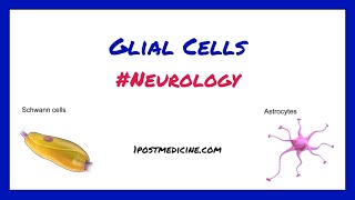 Glial Cells  Neurology [upl. by Thatch]