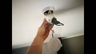 LED Downlight installation and replacement [upl. by Leno639]