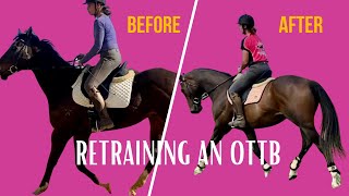 Retraining an Off The Track Thoroughbred Before and After ottb ottbretraining OttbSuccessAcademy [upl. by Aihseya596]