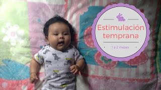 Video Corto Estimulación temprana 1 a 2 meses [upl. by Lyndy]