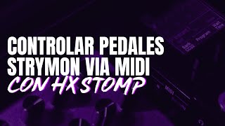 STRYMON BIGSKY y TIMELINE con HX STOMP via MIDI [upl. by Brynna]