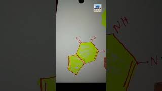 guanine microbiology shorts trending drawing dna rna [upl. by Kara912]