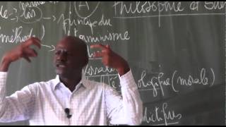 Philosophie et Science par M Elhadj Songué Diouf leçon 2 [upl. by Nothgiel]