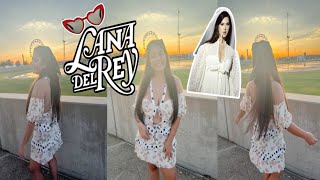 Lana Del Rey Concert Vlog  Road Trip to Austin Texas [upl. by Roxanne599]