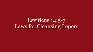 128 Leviticus 1457 Laws for Cleansing Lepers [upl. by Eekcaj398]