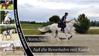 Rennbahn in Avenches mit Kumi [upl. by Anahsat]