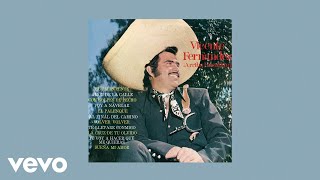 Vicente Fernández  Volver Volver Letra  Lyrics [upl. by Jinny]