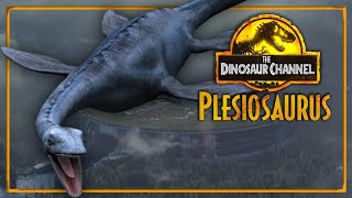 What Was The Plesiosaurus  The Dinosaur Channel [upl. by Ennayram]