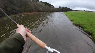 Mikael Frodin Salar Rods and Reels on the Tweed at TWEEDSWOOD [upl. by Odlanier97]