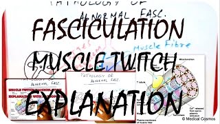 Muscle Twitch  Fasciculation Pathophysiology EXPLAINED [upl. by Heurlin]