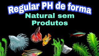 Regular PH do Aquário de forma natural Sem produtos [upl. by Abraham]