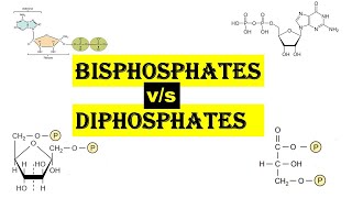 bisPhosphate vs diPhosphate  Dr Ghanshyam Jangid [upl. by Maribel]