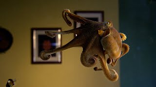 Octopus Playtime  Octopus In My House  BBC Earth [upl. by Lleumas]