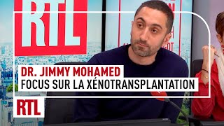 Focus sur la xénotransplantation lavenir de la médecine [upl. by Eolande]