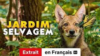 Les Connexions naturelles Extrait soustitré  BandeAnnonce en Français  Netflix [upl. by Dnomyaw]