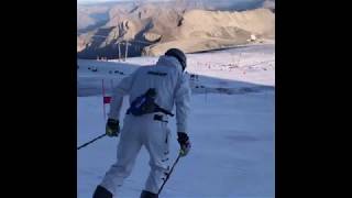 WORLD CUP SKI RACERS FREE SKIING 5 [upl. by Eisiam]