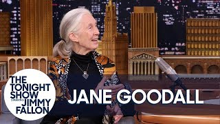 Dr Jane Goodall Teaches Jimmy About PantHoots and Roots amp Shoots [upl. by Keever]