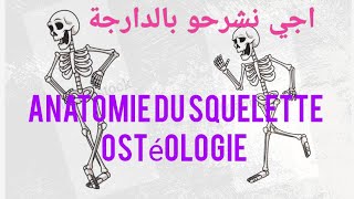 ostéologie humaine  squelette humain [upl. by Eanerb]