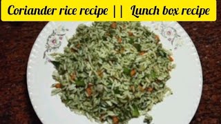 Coriander rice recipe lunchboxrecipe  by cook with shabina [upl. by Carolle]