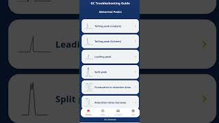 GC Troubleshooting Guide Dicas para resolver problemas em cromatografia a gás [upl. by Sage763]