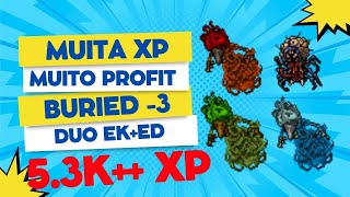 MUITA XP RUSH DUO EK300 E ED300  BURIED CATHEDRAL 3  MELHOR HUNT [upl. by Savell]