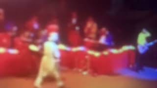 The Wiggles Live Hot Potatoes [upl. by Babbie]