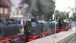 Zugsichtungen 4 Lokzug der Harzer Schmalspurbahnen [upl. by Justinian639]