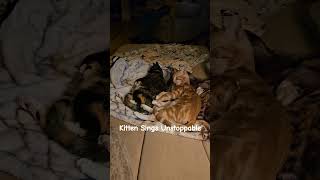 Kitten sings Sias Unstoppable to his sister [upl. by Aseek]