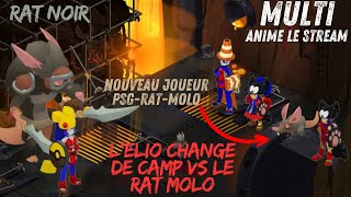 DOFUS Ombre Multi se trompe de camp et aide le Rat Noir  Mort définitive [upl. by Yonina]