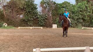 Create that bend  Teaching your OTTB how to bend [upl. by Thorndike]