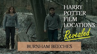 Harry Potter Film Locations Revealed Tour – Burnham Beeches Bucks scenic forest – Free entry [upl. by Ardnalahs863]