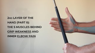 Second Layer of the Hand Part II The 5 Muscles Behind Grip Weakness and Inner Elbow Pain [upl. by Brookner]