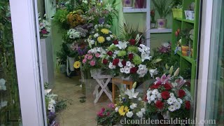 Qué flores comprar para llevar al cementerio el Día de Difuntos [upl. by Pisarik]