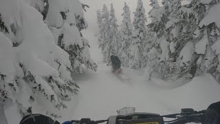 timbersled riot 3 whistler [upl. by Colston580]