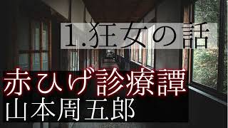 【青空文庫 朗読】赤ひげ診療譚 １ 狂女の話 [upl. by Novehs]