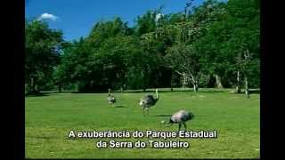 Parque Estadual da Serra do Tabuleiro  legendado em português [upl. by Frida688]