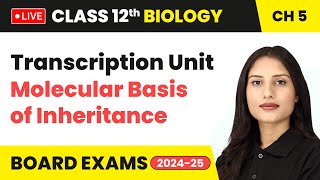 Transcription Unit  Molecular Basis of Inheritance  Class 12 Biology Chapter 5  live [upl. by Rola594]