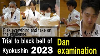 Trial to black belt of Kyokushin Karate 2023 [upl. by Ramma212]