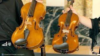 Staatsorchester Stuttgart  Musiker und ihre Instrumente  Violine und Viola [upl. by Agni]