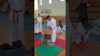 Tameshiwari  Puchar Polski karate sport sztukiwalki karatetradicional martialarts [upl. by Eamon]