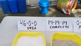 Types of fertilizers commonly used and stages ng pag apply ng fertilizer [upl. by Garvy]