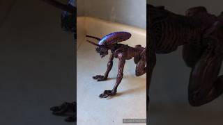 Custom Kenner Aliens Bull Alien Figure [upl. by Lyndell]