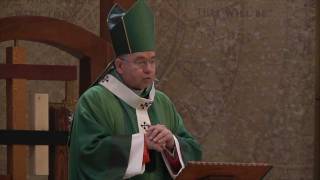 Homily Fifth Sunday in Ordinary Time 02052012 [upl. by Fish]