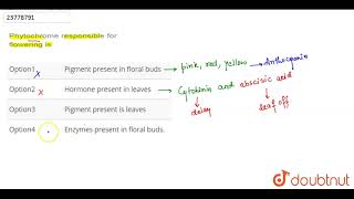 Phytochrome responsible for flowering is [upl. by Anastassia]