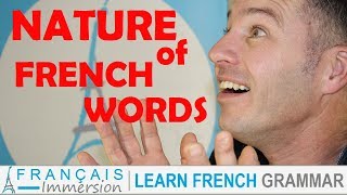 GRAMMATICAL NATURE OF FRENCH WORDS  French Grammar [upl. by Anerac672]