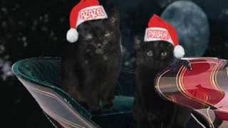 Christmas Cats 2006 [upl. by Acassej760]